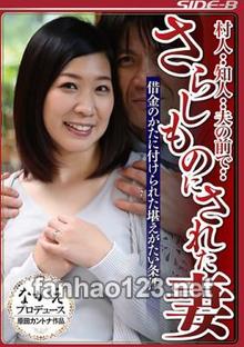 NSPS-690