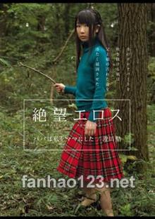 ZBES-040